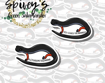 Red-Legged Salamander Sticker Plethodon shermani Sticker Herpetology Amphibian Salamander Sticker