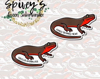 Rough Skinned Newt Salamander Sticker Taricha granulosa Sticker Herpetology Amphibian Salamander Sticker