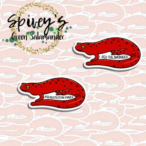 Red Salamander Sticker Pseudotriton ruber Sticker Herpetology Amphibian Salamander Sticker