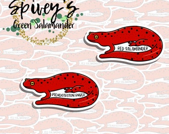 Red Salamander Sticker Pseudotriton ruber Sticker Herpetology Amphibian Salamander Sticker