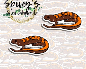 Allegheny Mountain Salamander Sticker Desmognathus ochrophaeus Sticker Herpetology Amphibian Salamander Sticker