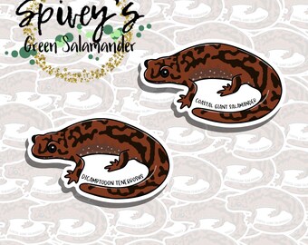 Coastal Giant Salamander Sticker Dicamptodon tenebrosus Sticker Herpetology Amphibian Salamander Sticker