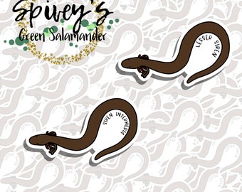 Lesser Siren Salamander Sticker Siren intermedia Sticker Herpetology Amphibian Salamander Sticker