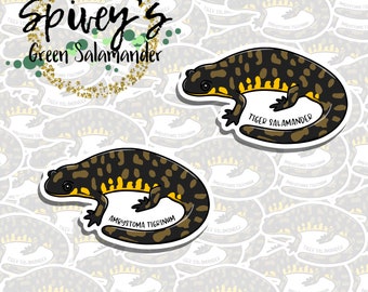 Tiger Salamander Sticker Ambystoma tigrinum Sticker Herpetology Amphibian Salamander Sticker