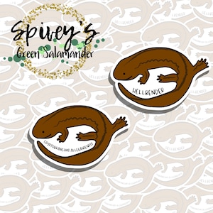 May include: Two brown and black salamander stickers with white outlines. The top sticker says "Hellbender" and the bottom sticker says "Cryptobranchus alleganiensis".