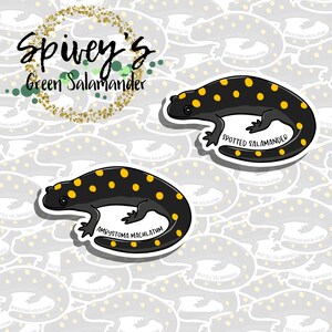 Spotted Salamander Sticker Ambystoma maculatum Sticker Herpetology Amphibian Salamander Sticker