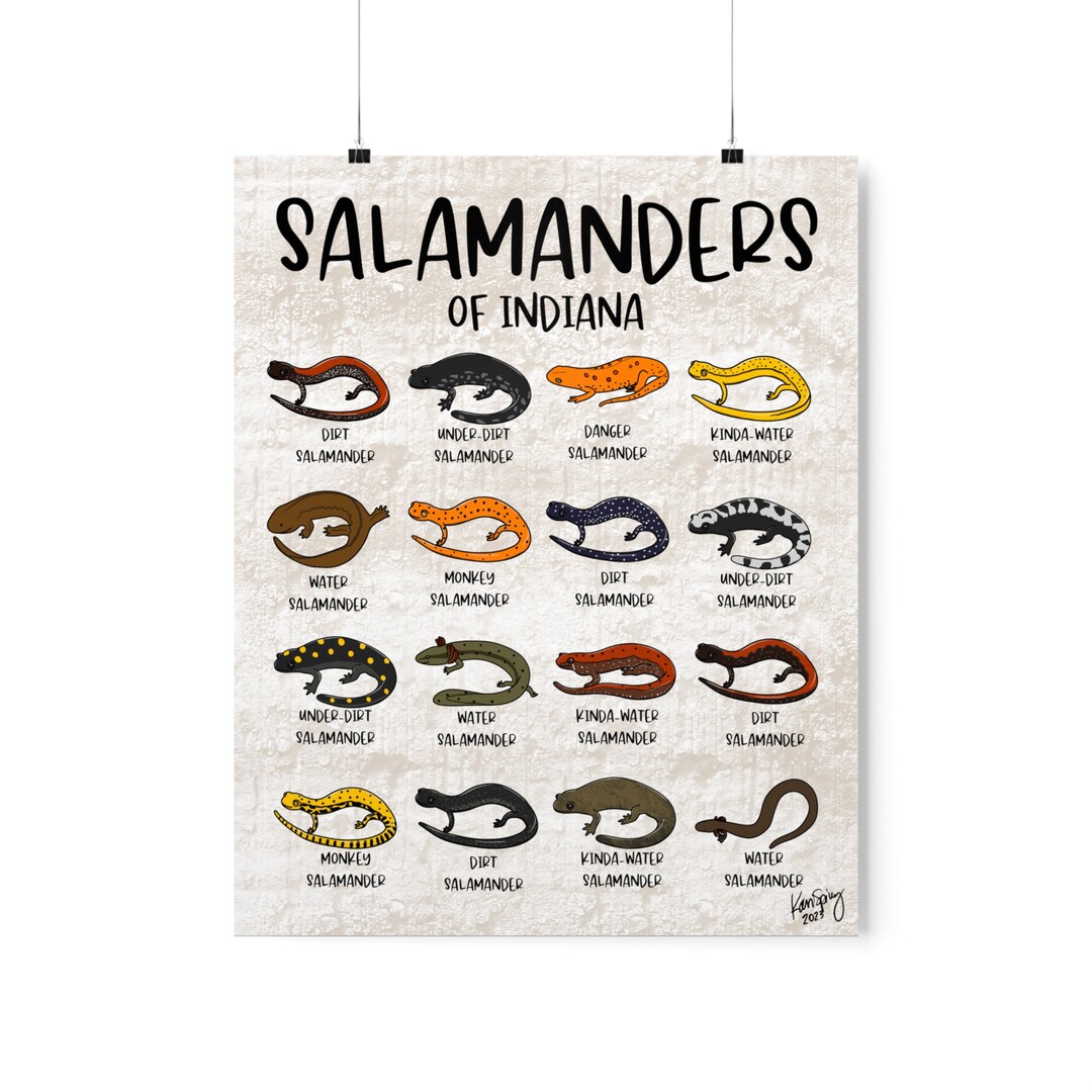 Salamanders of Indiana Poster Salamander Joke Herpetology Etsy