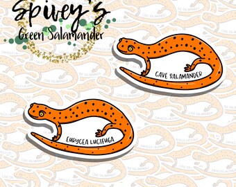 Cave Salamander Sticker Eurycea lucifuga Sticker Herpetology Amphibian Salamander Sticker