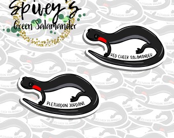 Red cheeked Salamander Sticker Plethodon jordani Sticker Herpetology Amphibian Salamander Sticker