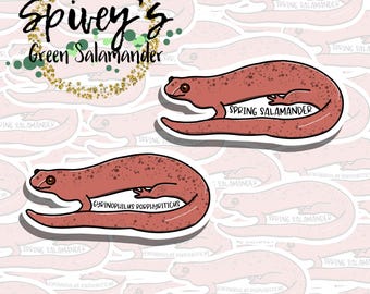 Spring Salamander Sticker Gyrinophilus porphriticus Sticker Herpetology Amphibian Salamander Sticker