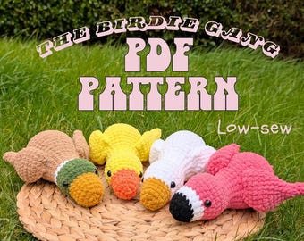 4-in-1 pdf-patroon birdie bende / gehaakt amigurumipatroon / haakpatroon vogel / gehaakt pluche / beginnersvriendelijk