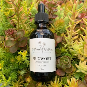 Mugwort Tincture, artemisia vulgaris, herbal extract