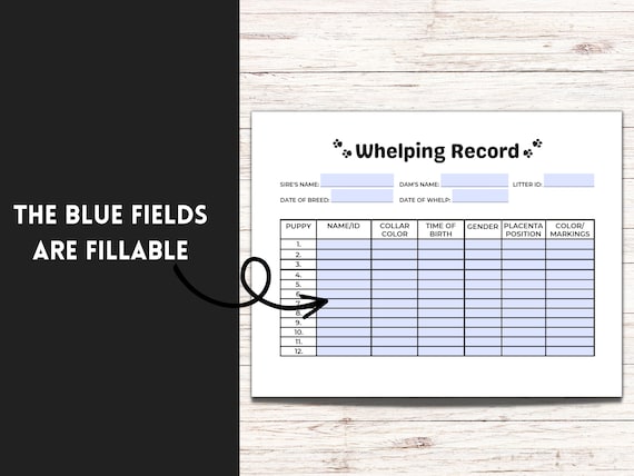 SheffieldSSShop Puppy Whelping Supplies 64 Stuk Puppy Whelping Kit voor Puppy's Geboorte Zwangere Hond Geboorte Benodigdheden Pasgeboren Halsbanden SheffieldSSShop Puppy Whelping Supplies 64 Stuk Puppy Whelping Kit voor Puppy's Geboorte Zwangere Hond Geboorte Benodigdheden Pasgeboren Halsbanden