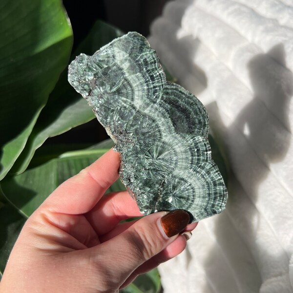 Seraphinite Slab | High Quality | Polished Crystal | Mineral Specimen | Siberia