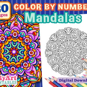 Color by Number Mandalas: Coloring Book for Adults and Beginners With a  Collection of Fun and Relaxing Mandala Designs, Symmetry Patterns Paint by