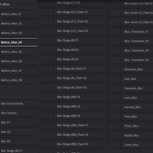May include: A screenshot of a computer screen showing a list of blur effects for a photo editing program. The effects are organized into categories, such as "Blur Bulge", "Blur Zoom", and "Blur Transition".