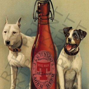 Op de afbeelding: Vintage advertentie voor Tennent's Lager bier met twee honden, een witte bullterri&euml;r en een zwart-witte terri&euml;r, die voor een fles bier zitten. De fles heeft een rood etiket met de tekst "J & R Tennent's Wellpark Brewery Trade Mark J.R. Tennent Lager Beer Glasgow" en de slogan "Give us your business & we'll hold it."