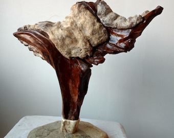 Wood sculpture, unique 41 x 40 cm