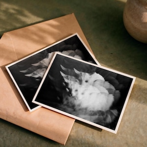 Cartolina artistica "gatto psichedelico", fotografia originale Reveriexart, stampa Fine Art Hahnemühle Photo Pearl 310gr, 10x15cm