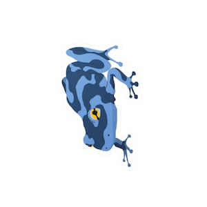 Poison Dart Frog Sticker - Cute Animal Decal for Laptop, Poison Dart Frog, Water Bottle, Car - Vinyl Decal, Reptile Lover Gift, Frog Decor