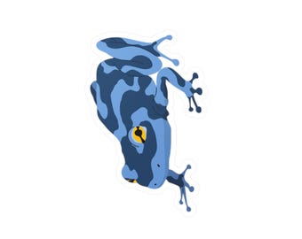 Poison Dart Frog Sticker - Cute Animal Decal for Laptop, Poison Dart Frog, Water Bottle, Car - Vinyl Decal, Reptile Lover Gift, Frog Decor