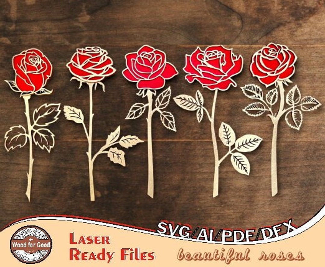 5 красивых роз лазерная резка. День святого Валентина