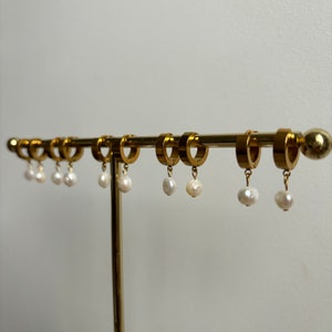 Drop earrings with real water pearls and stainless steel hoops