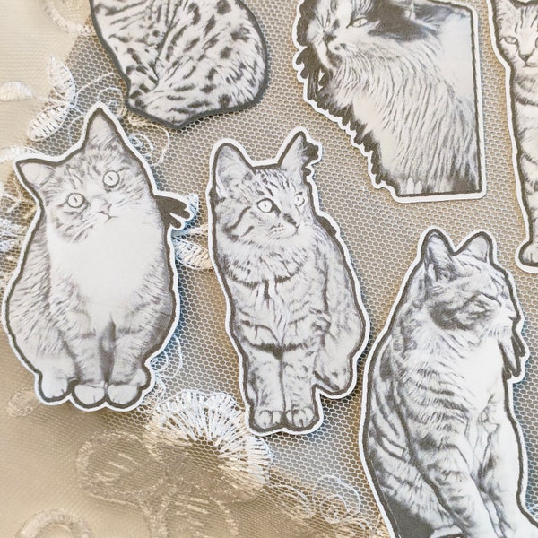 Monochrome cat collage stickers Handmade collage material