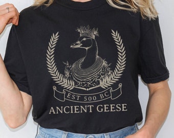 Forntida gäss-tröja - forntida gäss - komfortfärg - grekisk skjorta - mytologi-tröja - rolig meme-tröja - gås-tröja - fånig gås - college