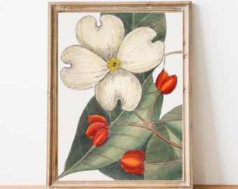 Holly Vintage December Birth Month Flower Illustration Premium Matte Vertical Poster - Minimalist - Hand-Drawn - Fine Art - Sketch