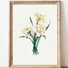 see more listings in the Birth Flower Prints section