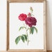 see more listings in the Birth Flower Prints section