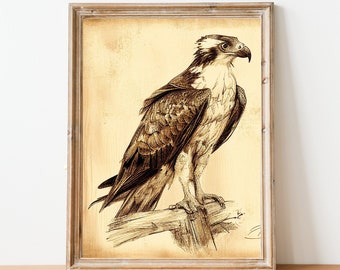 Vintage Hand-Drawn Osprey Print - Seahawk - Rustic Home Decor - Wall Print - Antique - Cottage Core - Bird Gift - Bird Lover - Owl Art