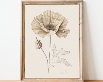 August Poppy Vintage Birth Month Flower Illustration - Minimalist - Hand-Drawn - Fine Art - Sketch - Printable - Instant Download