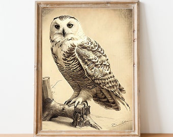 Vintage Hand-Drawn Snowy Owl Print - Rustic Home Decor - Wall Print - Antique - Cottage Core - Bird Gift - Bird Lover - Owl Art