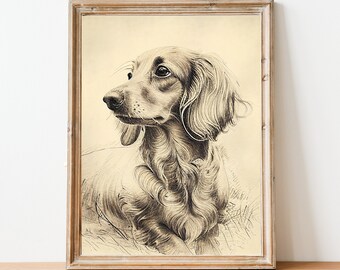 Vintage Fine Art Sketch of a Long Hair Dachshund - Doxie - Printable Decor - Instant Download - Dog Art - Dog Lover