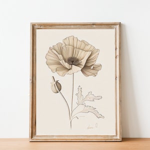 August Poppy Vintage Birth Month Flower Illustration - Minimalist - Hand-Drawn - Fine Art - Sketch - Printable - Instant Download
