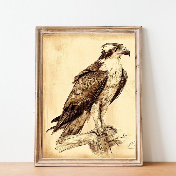 Vintage Hand-Drawn Osprey Print - Seahawk - Rustic Home Decor - Wall Print - Antique - Cottage Core - Bird Gift - Bird Lover - Owl Art