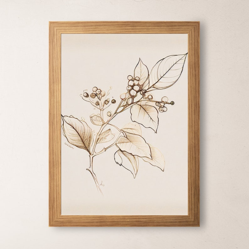 December Holly Vintage Birth Month Flower Illustration Minimalist Hand-Drawn Fine Art Sketch Printable Instant Download image 8