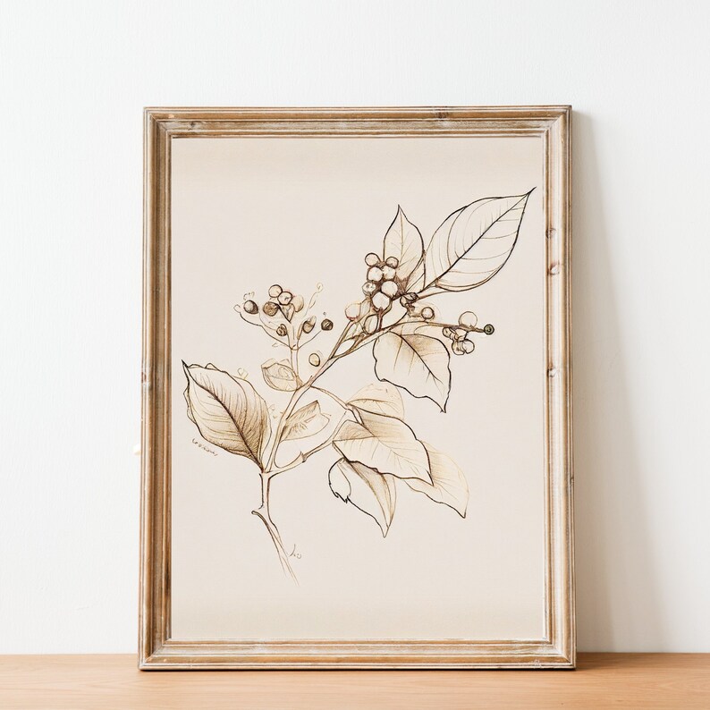 December Holly Vintage Birth Month Flower Illustration Minimalist Hand-Drawn Fine Art Sketch Printable Instant Download image 1