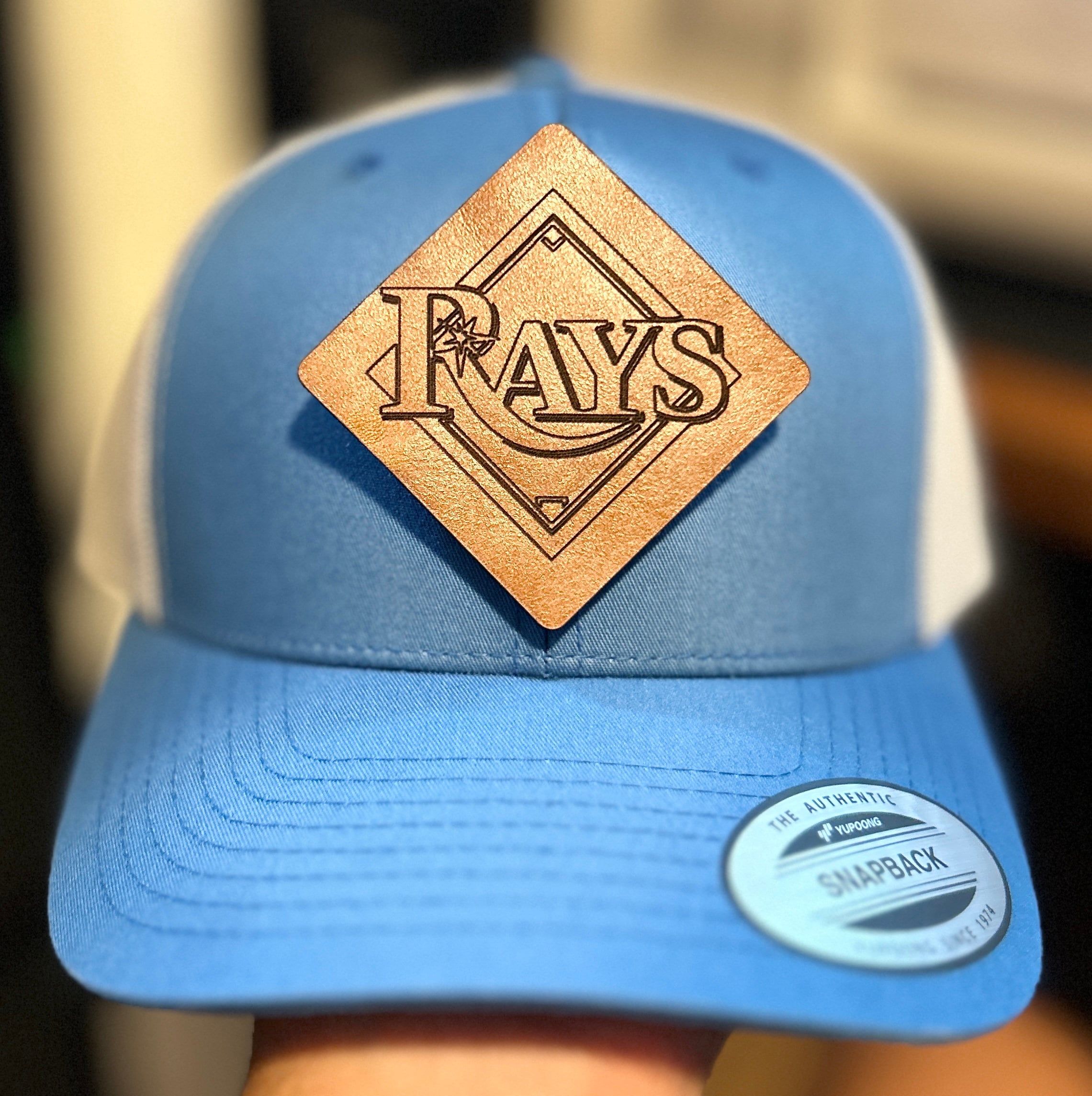 tampa bay rays patches