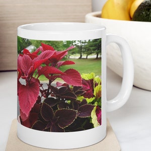 Coleus Plant 01 - Ceramic Mug 11oz