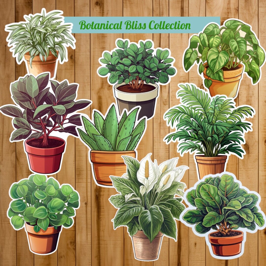 Botanic Blends Sticker Botanical Bliss Sticker Collection Great for Laptops, Planners, Bottles ...