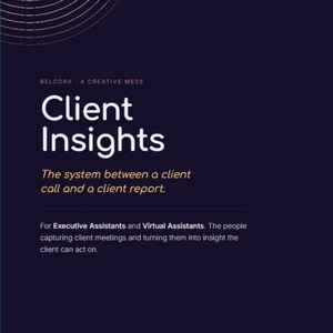 Client Reporting Framework | Monthly Strategic Insights for EAs & VAs (Digital Download)
