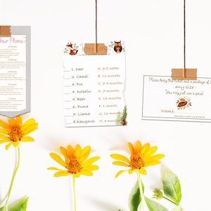 Let The Adventure Begin! Baby Shower Games Pack. Instant Download. No waiting, No Editing.
