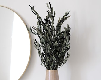 Preserved olive branches | Real olive branches for vases, DIY & dried flowers | Boho decoration