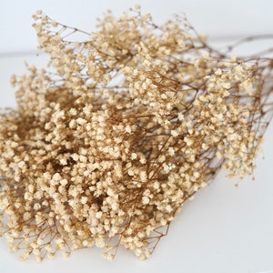 konservierter Trockenblumenstrauß Schleierkraut weiß/natur  -  Tischdekoration Hochzeit