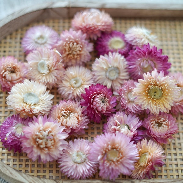 Trockenblumen Streudeko rosa - Tischdekoration für Geburtstag - Frühlingsdeko für Ostern