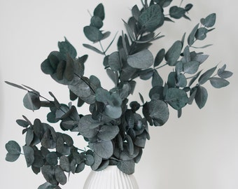 Eucalyptus dried flower bouquet - preserved eucalyptus, autumn decoration