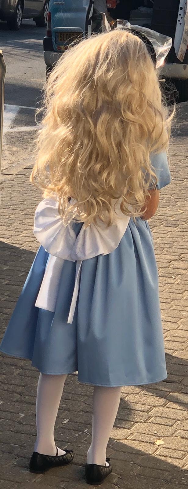 Alice in Wonderland Girls Costume Satin Blue
